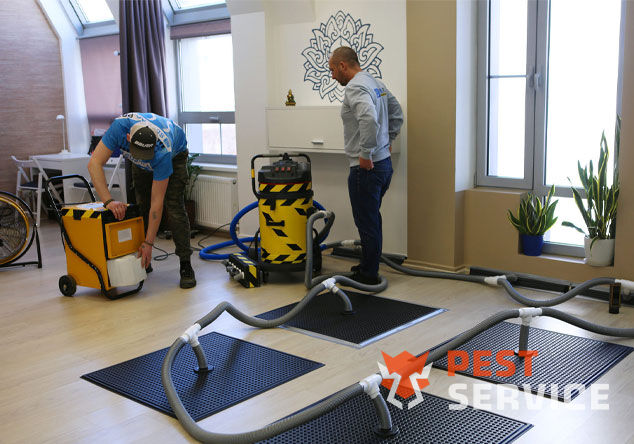 Профессиональная сушка после потопа в Химках от 3000 руб. Быстро устраняем влагу, предотвращаем плесень и повреждения. Современное оборудование и опытные специалисты. Безопасно и эффективно.